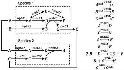 From Genes to Ecosystems in Microbiology: Modeling Approaches and the Importance of Individuality